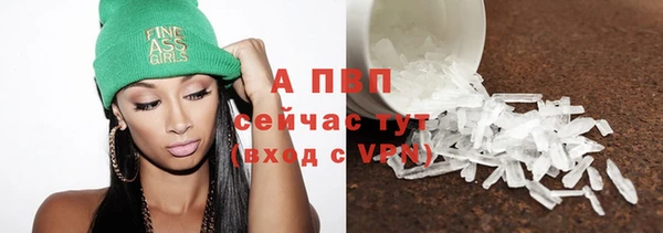 спайс Беломорск
