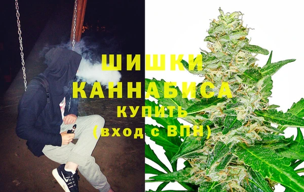 спайс Беломорск