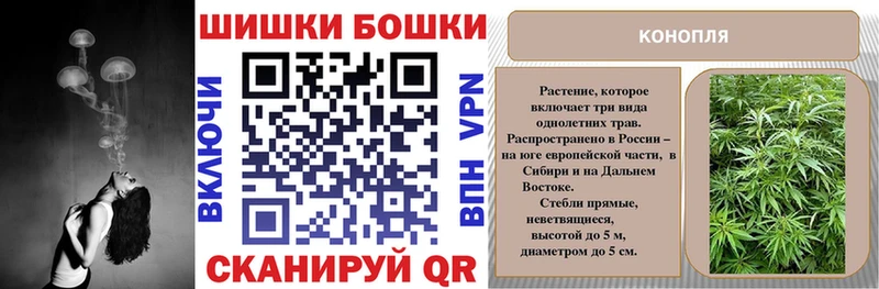 OMG ТОР  продажа наркотиков  Ясногорск  МАРИХУАНА сатива 